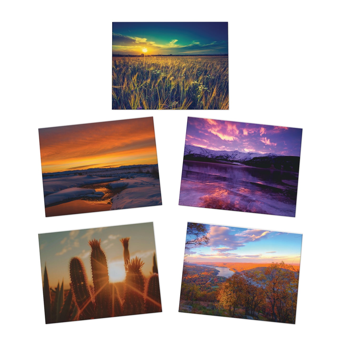 Greeting Cards Nature Photography Blank Inside 20 Pack with Five Photo Designs for Thanks, Congratulations, Love, Get Well, Sympathy Notes