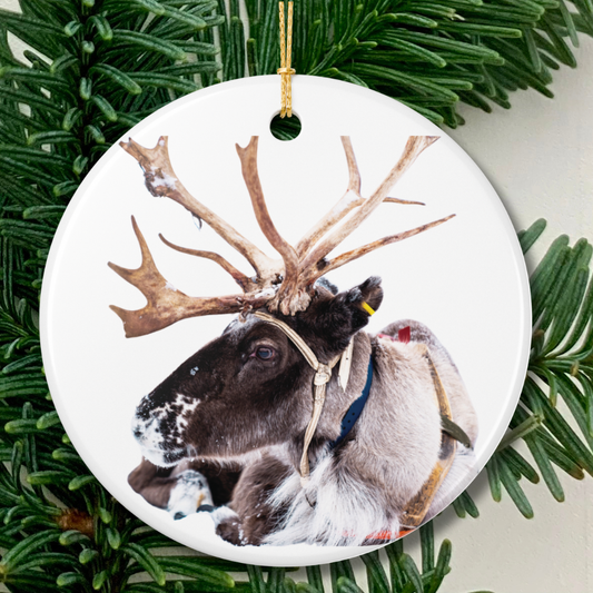 Reindeer Ceramic Christmas Ornament Rustic Holiday Decoration (2-Side Print)