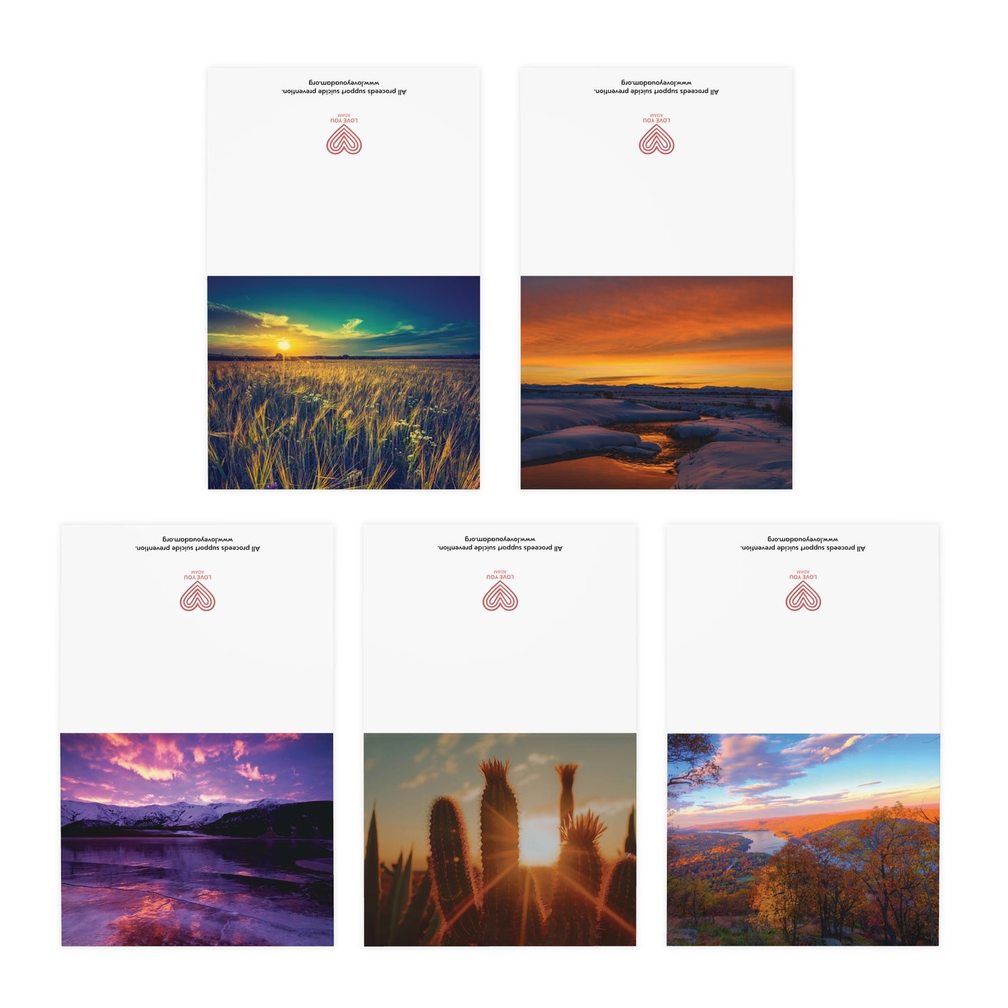 Greeting Cards Nature Photography Blank Inside 20 Pack with Five Photo Designs for Thanks, Congratulations, Love, Get Well, Sympathy Notes